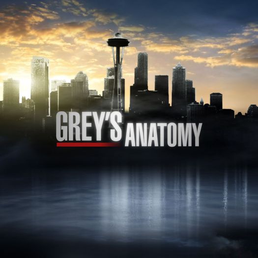 greys-anatomy - grey_s anatomy