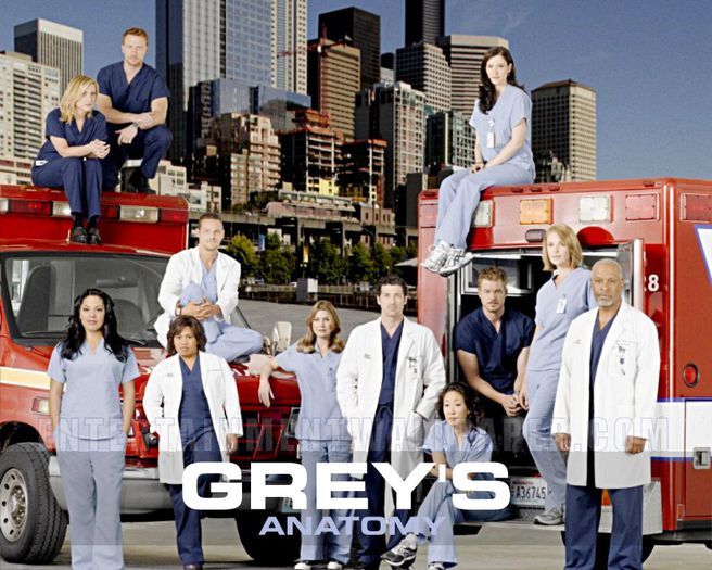 tv_grey_s_anatomy19