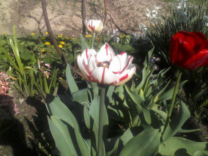 225405_162665567220577_2108543770_n