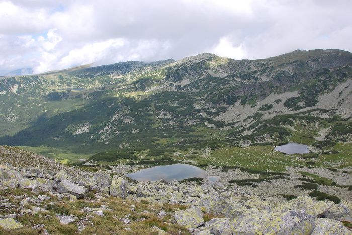 DSC_0128 - PARCUL NATIONAL RETEZAT