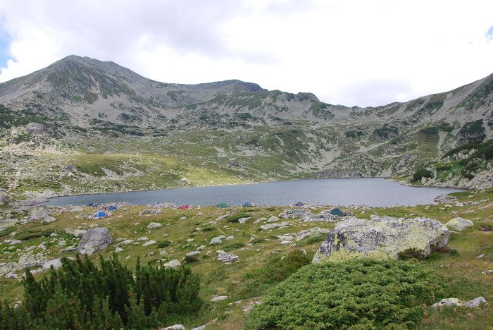 DSC_0472 - PARCUL NATIONAL RETEZAT