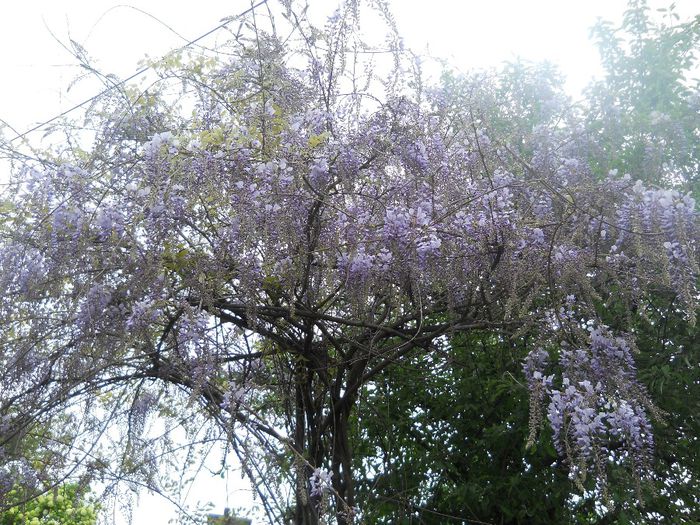 DSCN5921