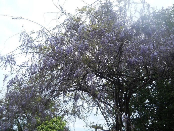 DSCN5922