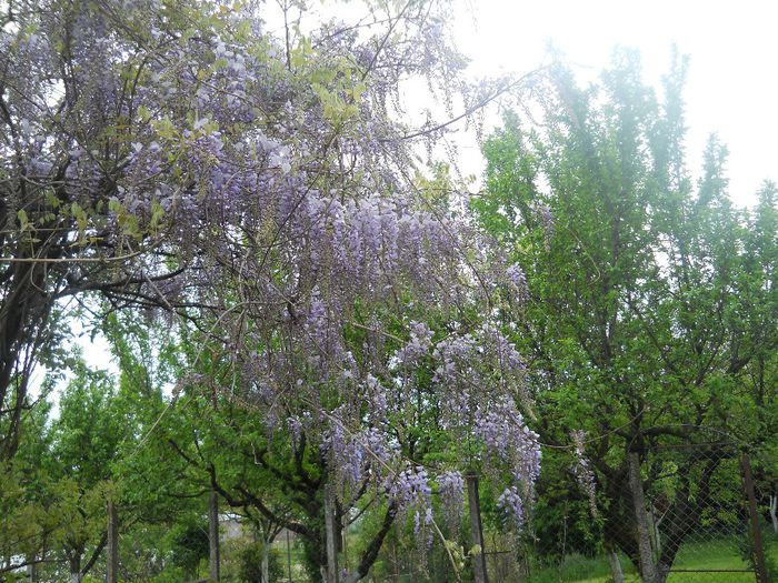 DSCN5925