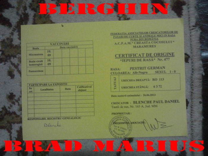 - M-Mascul-1---RO 113---6372