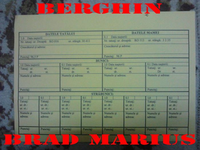  - M-Mascul-1---RO 113---6372