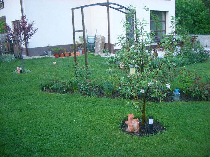 CIMG8851 - primavara 2014