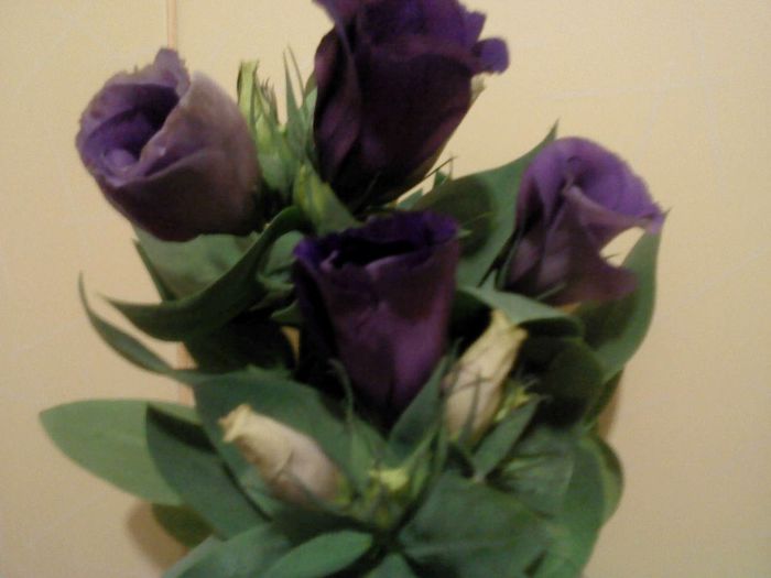 Aprilie 2014 013 - aprilie 2014