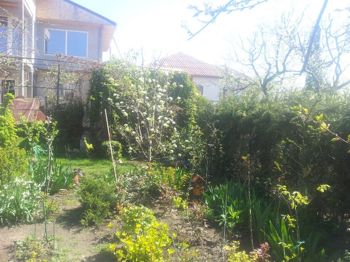 20140409_120725
