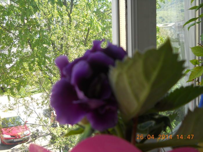 006 - APRILIE 2014