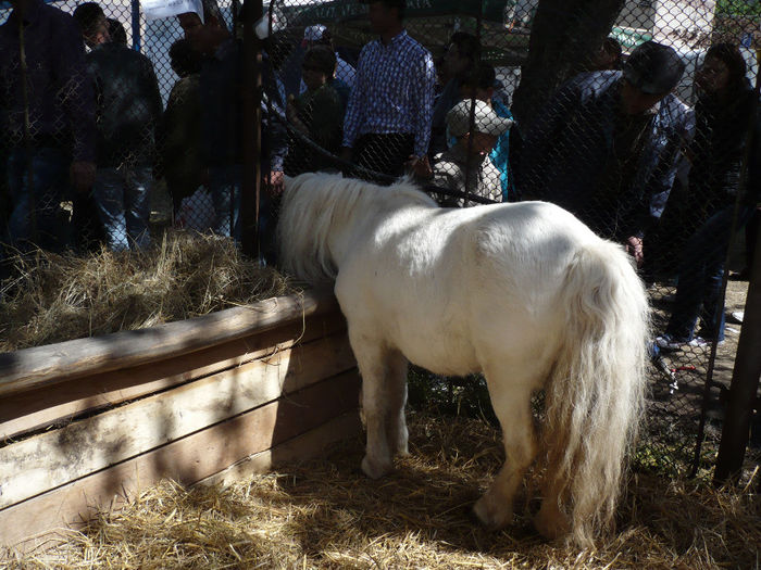 P1060720 - Agraria 2014