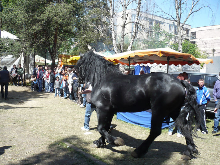 P1060717 - Agraria 2014