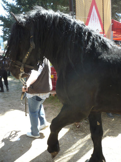 P1060723 - Agraria 2014