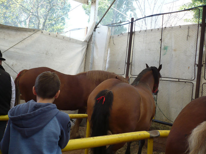 P1060729 - Agraria 2014