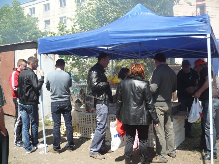 P1060746 - Agraria 2014