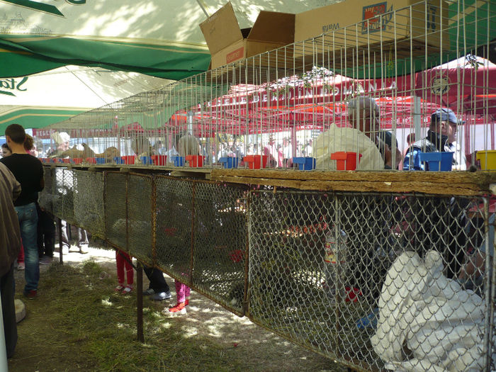 P1060785 - Agraria 2014