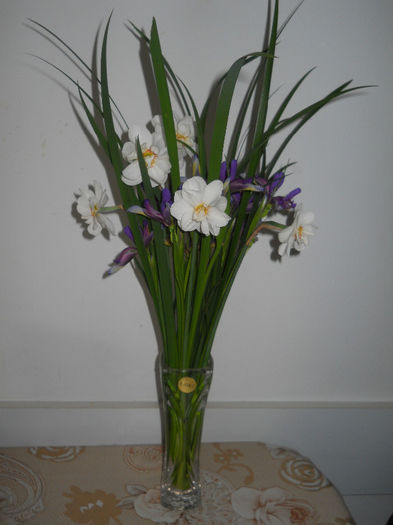 DSCN1479_002