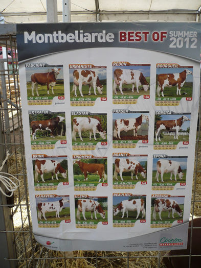 P1040560 - Agraria 2013