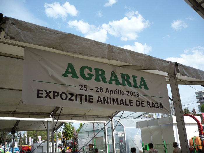 P1040627 - Agraria 2013