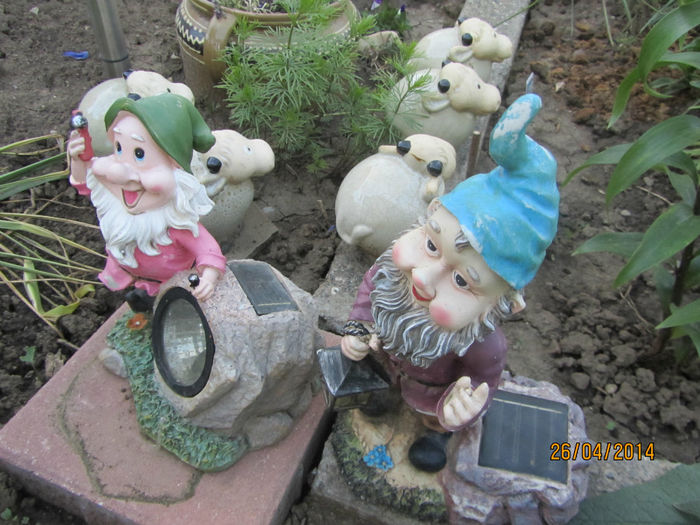 Populatia din gradina