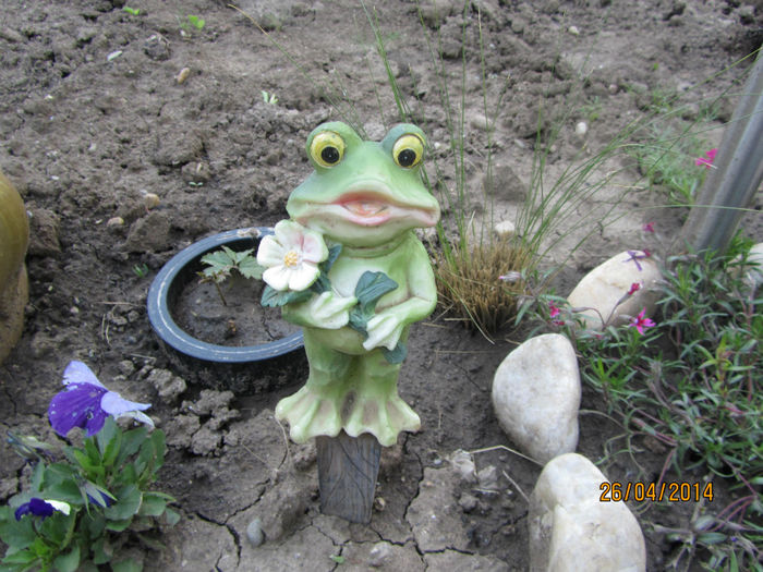 Populatia din gradina