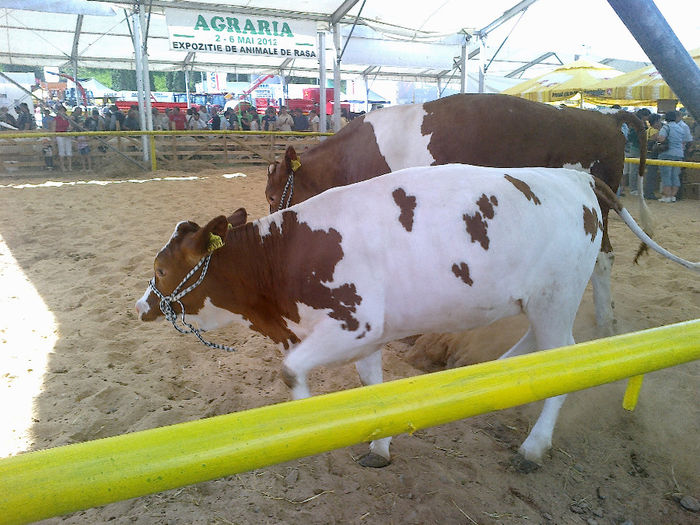 Imagine641 - Agraria 2012