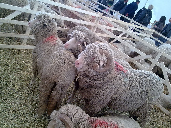 Imagine0404 - Agraria 2011