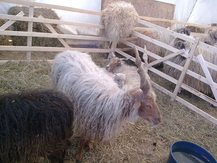 Imagine0409 - Agraria 2011