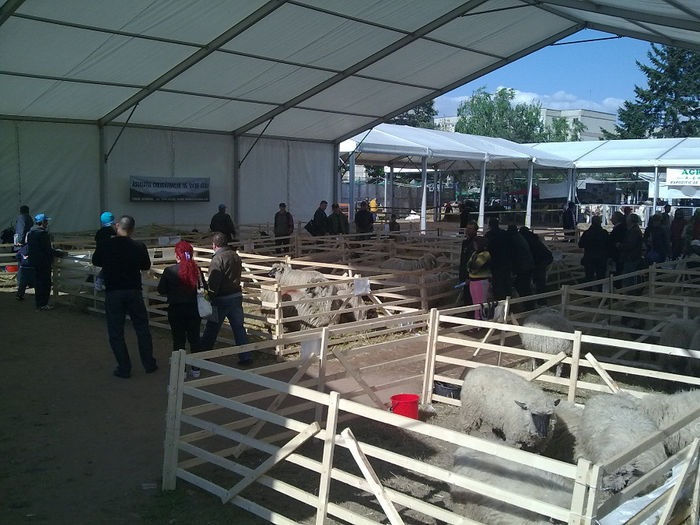 Imagine0410 - Agraria 2011