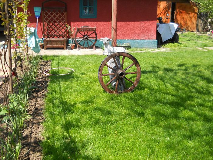 Picture 163 - GRADINA 2014