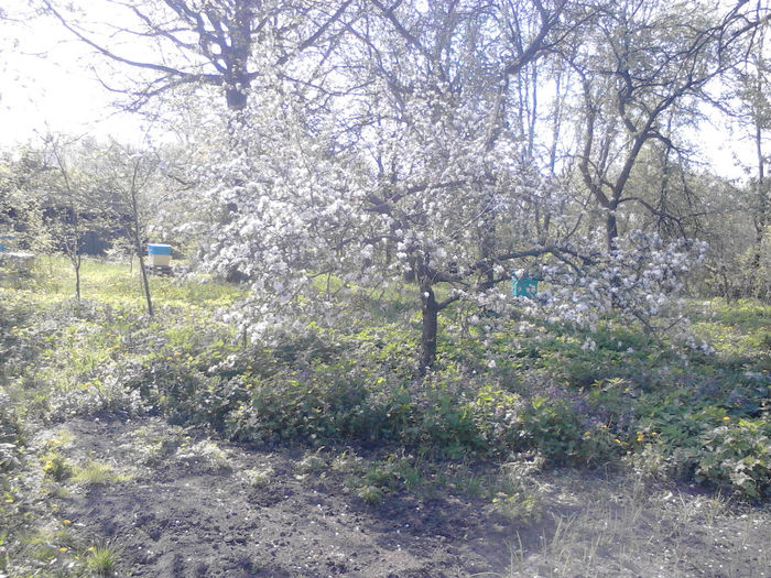 IMG_20140501_095912