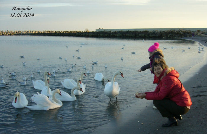 P1050033 - Mangalia-ianuarie 2014