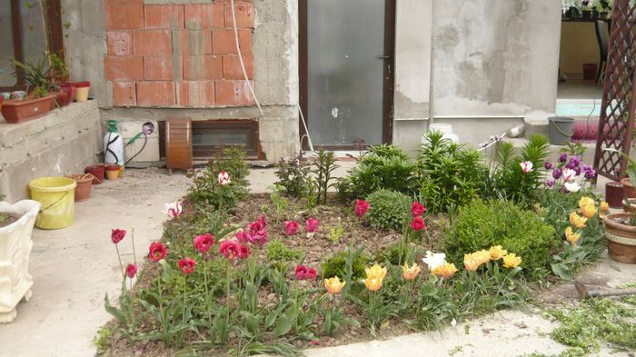 003 - 2014 primavara