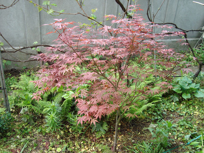 DSC05302
