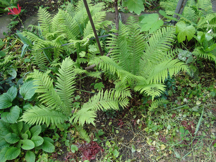 DSC05308