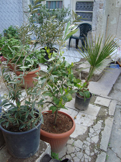 DSC05321
