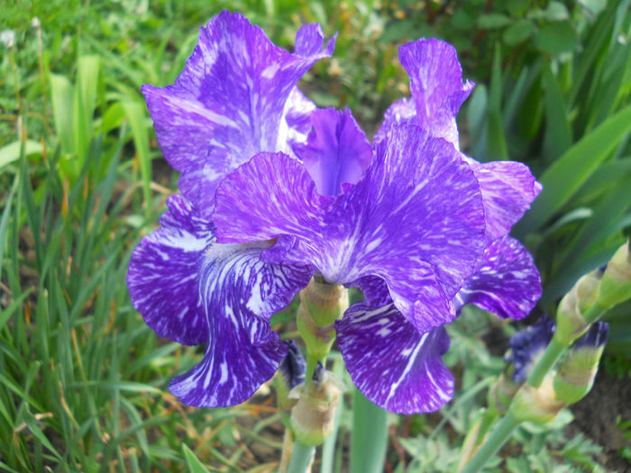 DSCN1498_004