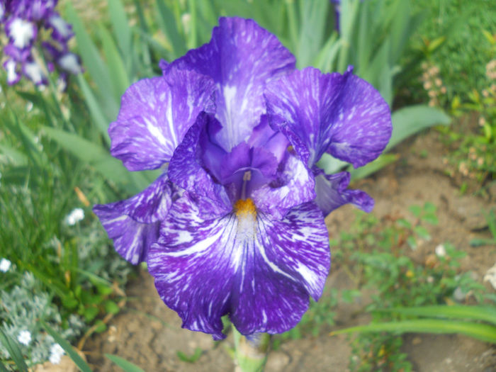 DSCN1501_007