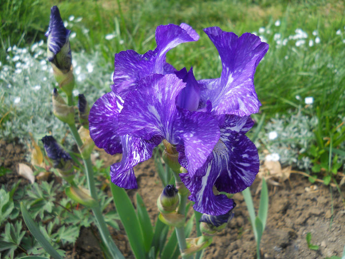 DSCN1502_008