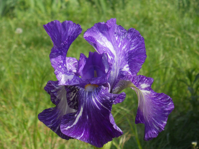 DSCN1527_033