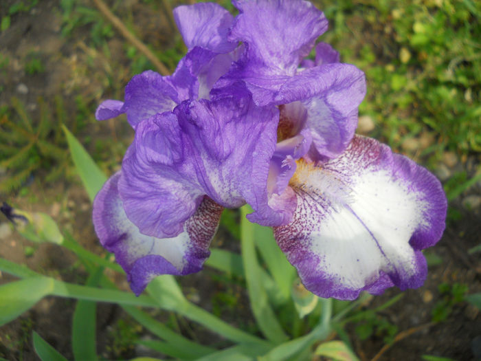 DSCN1506_012