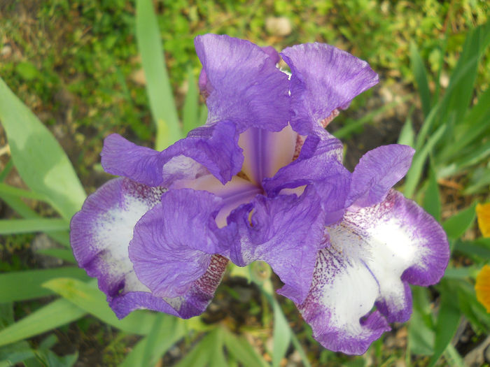 DSCN1507_013