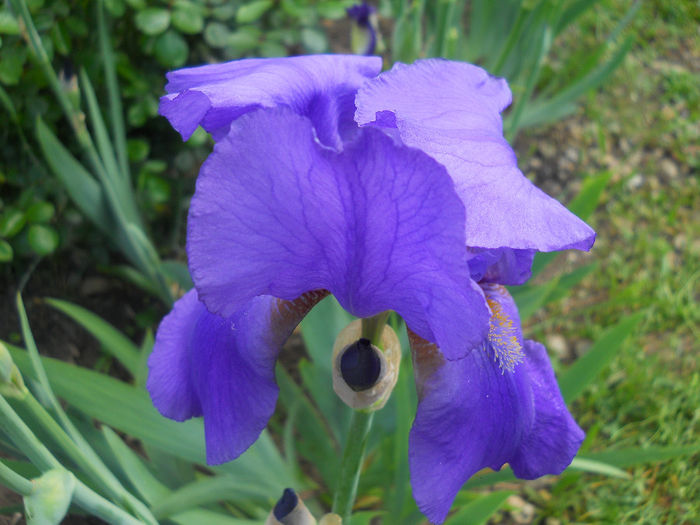 DSCN1533_039