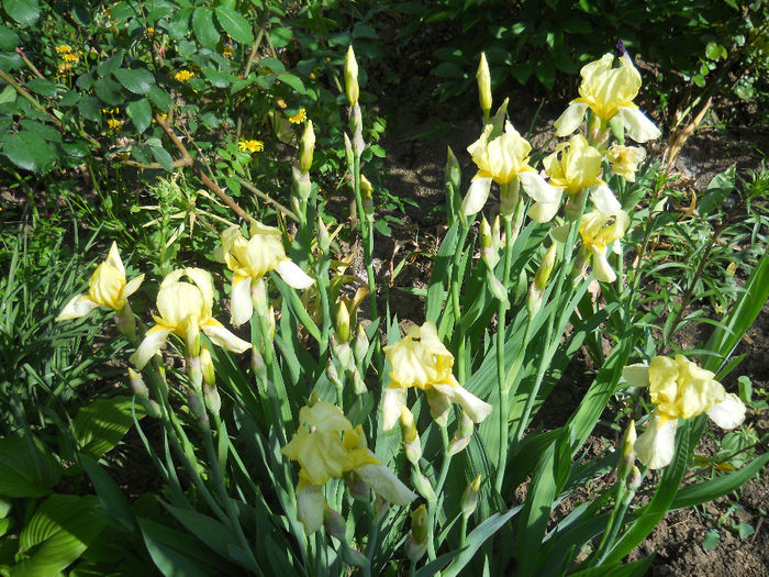 DSCN1539_045