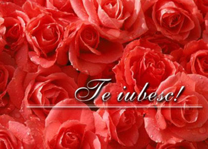 [www.fisierulmeu.ro] trandafiri - Dragostea
