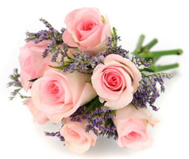 [www.fisierulmeu.ro] Trandafiri-7-trandafiri-roz-poza-t-P-n-dreamstime_5398300 - Dragostea