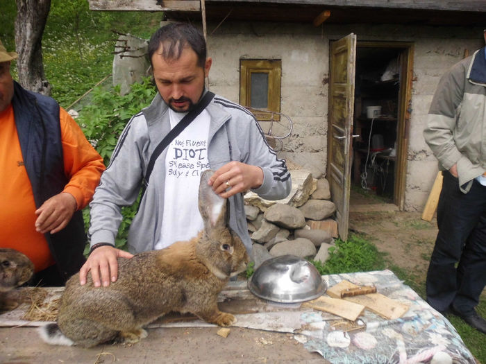 DSCI0258 - In vizita la crescatori de pasari si animale din Maramures