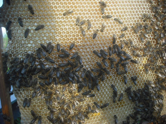 DSCF0201 - Z STUPII NOSTRI