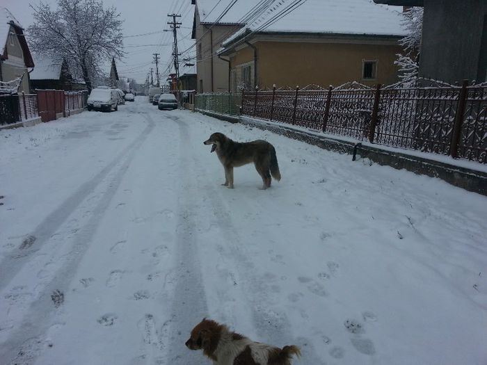 20140126_092953[1]