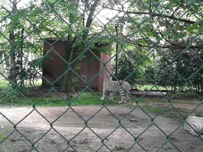 20140427_125309 - la zoo in belgea